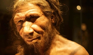 NEANDERTHALLERİN ESTETİK KAYGISI