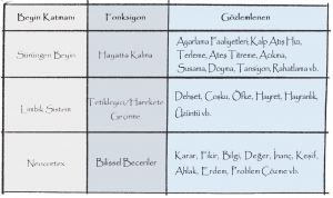 DUYGULAR 2  - KATMANLAR ARASI İLİŞKİ