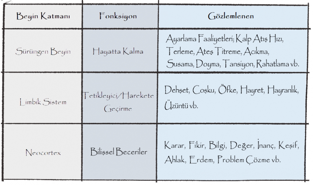 DUYGULAR 2  - KATMANLAR ARASI İLİŞKİ