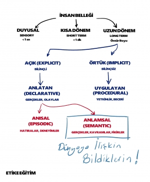 GÖZÜMLE GÖRDÜĞÜME Mİ İNANACAĞIM YOKSA ARAŞTIRMA DEDİĞİN KIYTIRIK ŞEYE Mİ ?